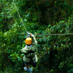 Canopy tours.